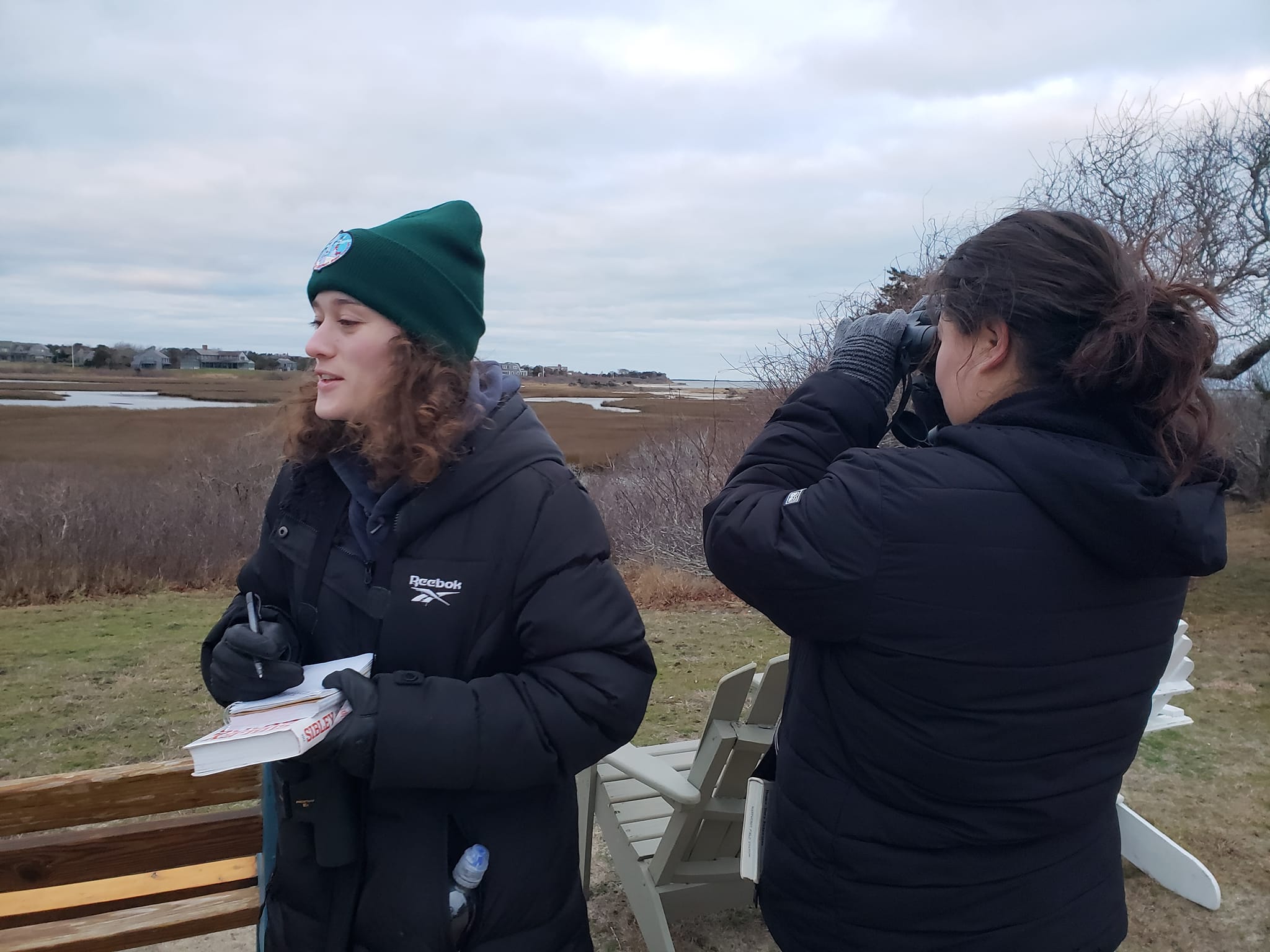two students overlooking a marsh one birding one recording
