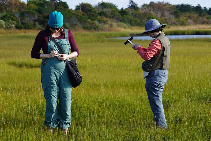 Two students researching in grass on Nantucket.