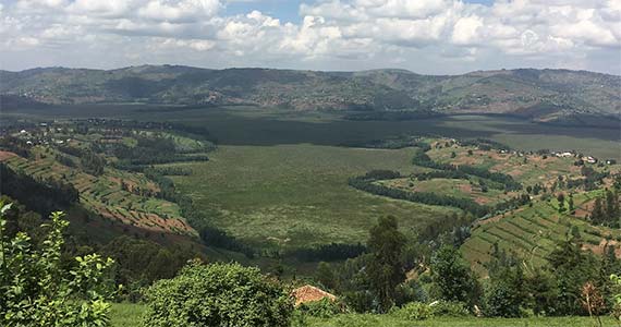 Rugezi-Wetland-Rwanda_570x300.jpg