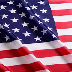 USA_Flag (1).png