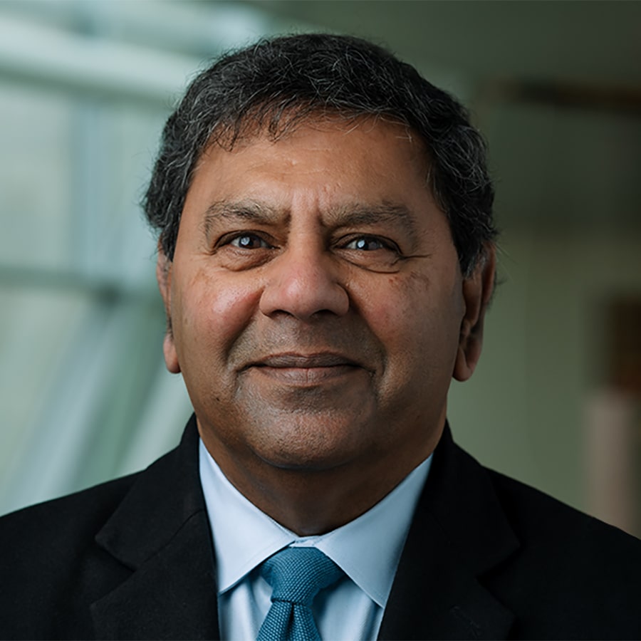 Bala Sundaram, VP for Research