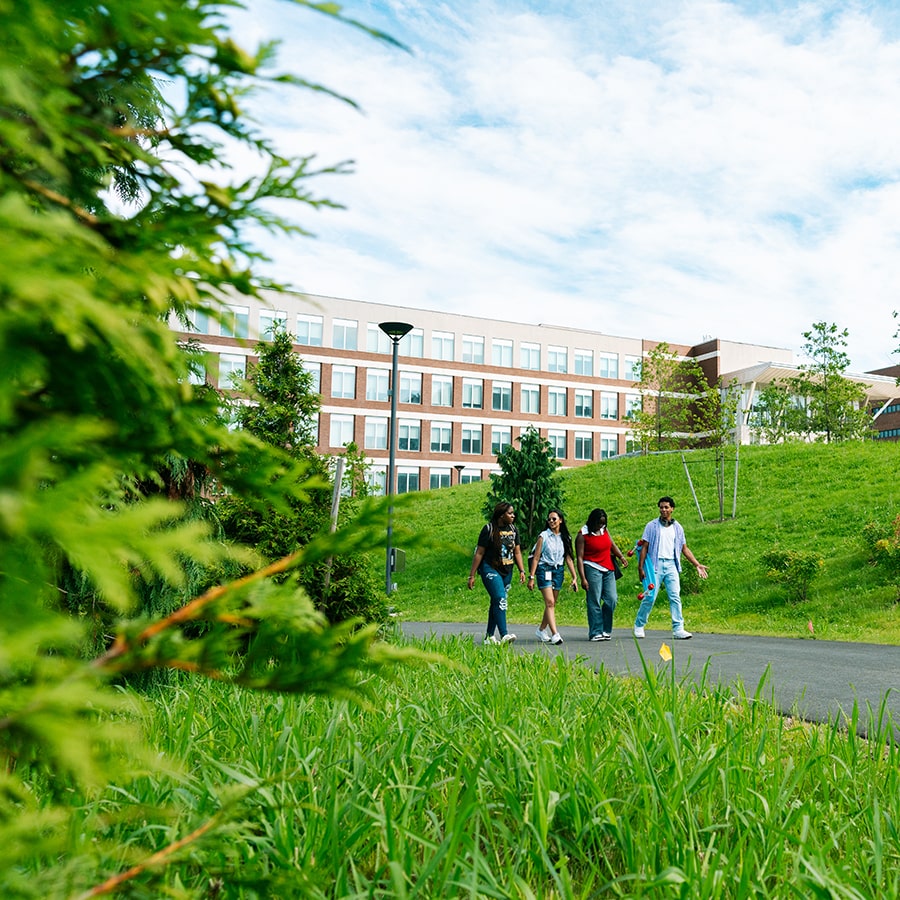 tree foreground of students walking quad walkway