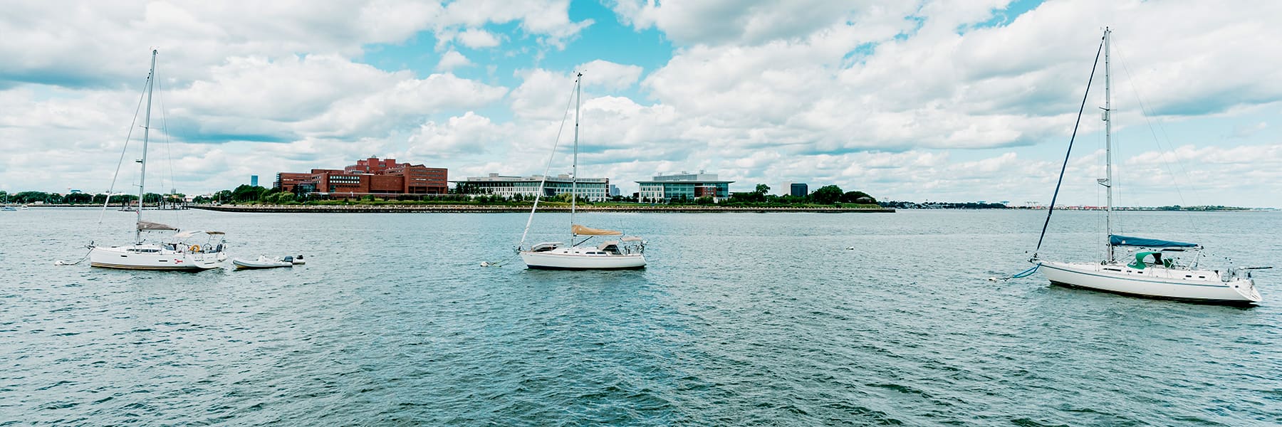 View of campus from the water from a cruise boat.